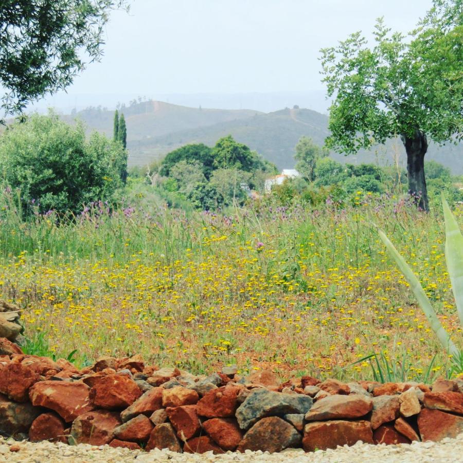 Quinta Das Piteiras-Turismo Rural Silves Exteriör bild