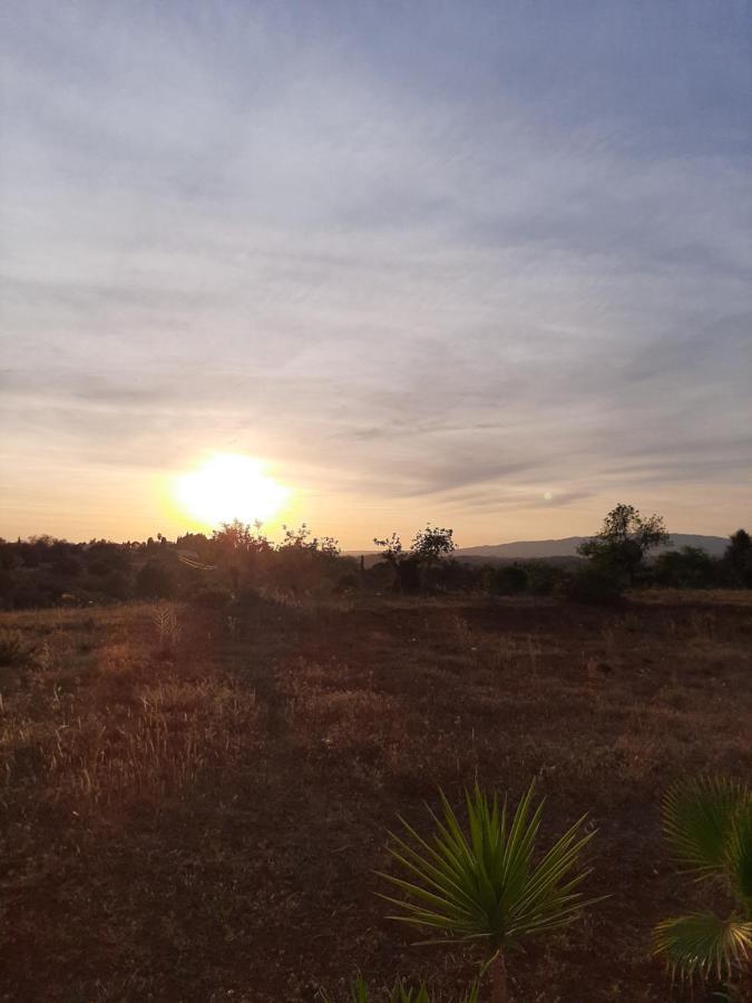 Quinta Das Piteiras-Turismo Rural Silves Exteriör bild